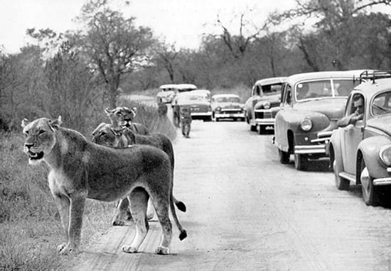 A brief history of the Kruger National Park