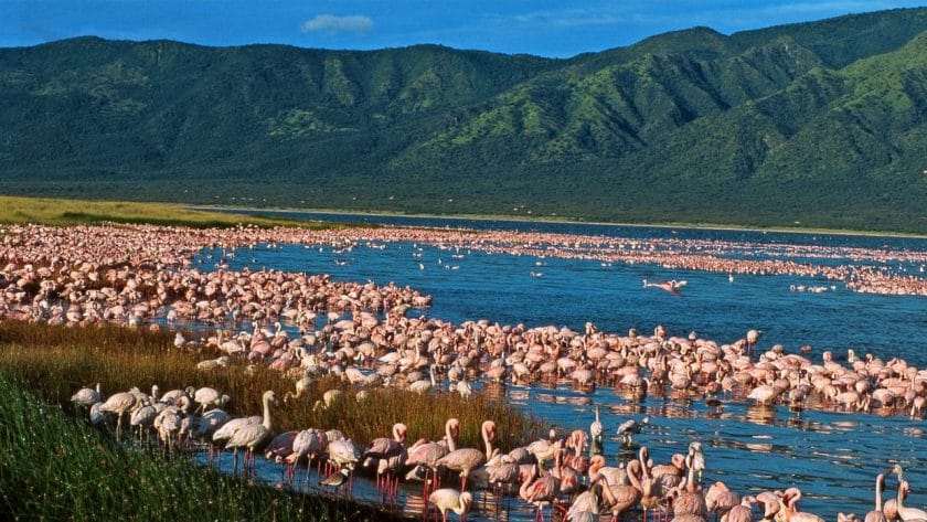 Lake elmenteita Southern Rift Valley