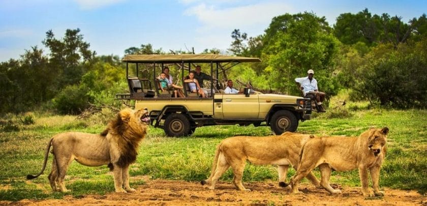 Four reasons why you need to visit Manyeleti Game Reserve