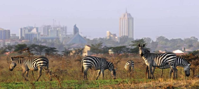 Nairobi National Park in Green Season