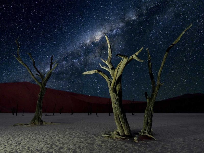 The dead vlei of Sossusvlei at Night