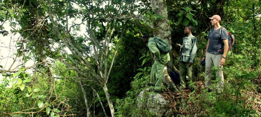 Hiking through Tanzania's indigenous forests