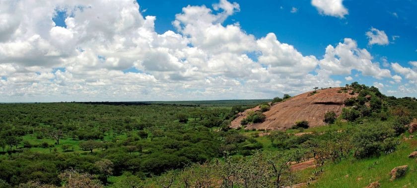 The Tanzanian landscape during the green. lush season