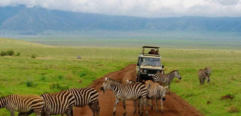 Ngorongoro Crater is famous for its prolific wildlife | Tanzania Safari