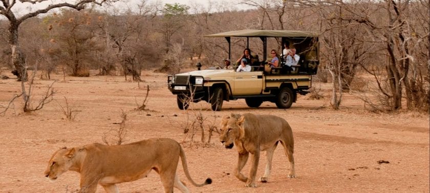 The Selous Game Reserve is one of the most enjoyed in Tanzania