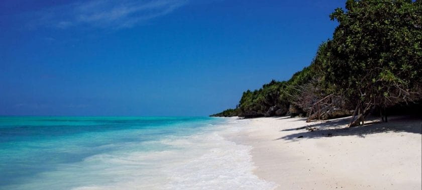 Tropical beach in Zanzibar.