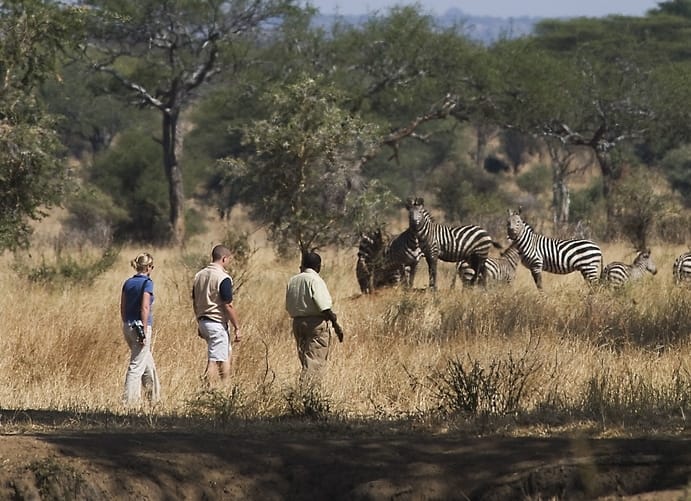 Walking safaris are a great way to meet the magic of the bush