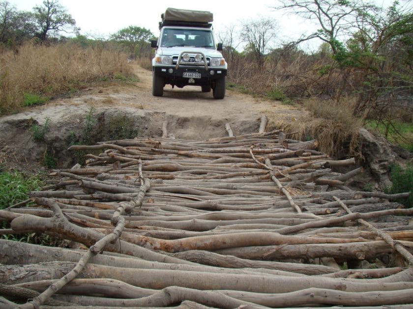 Self-drive safari in Kasanka National Park, Zambia.