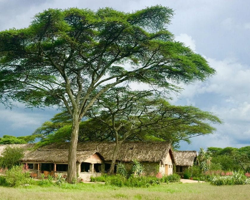 Ndutu Safari Lodge in Tanzania | Photo credit: Ndutu Safari Lodge