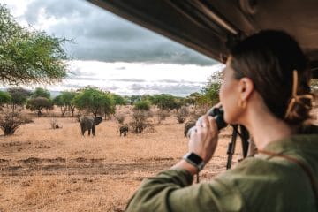 photo tanzania safari