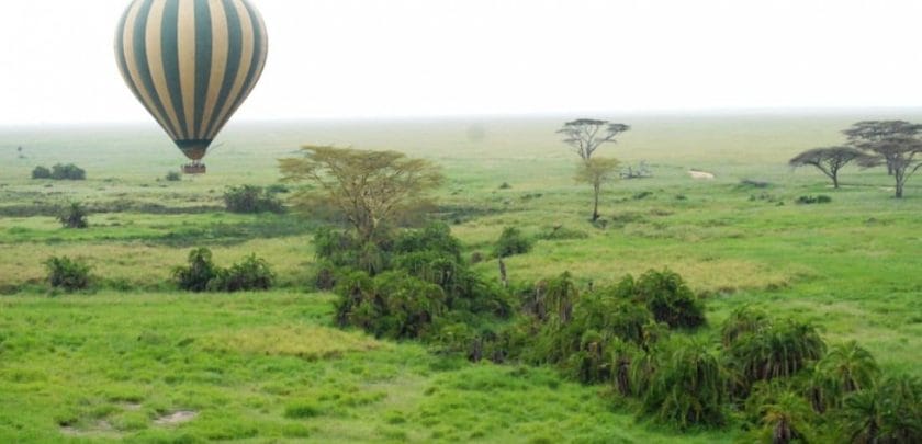 serengeti-balloon-safari