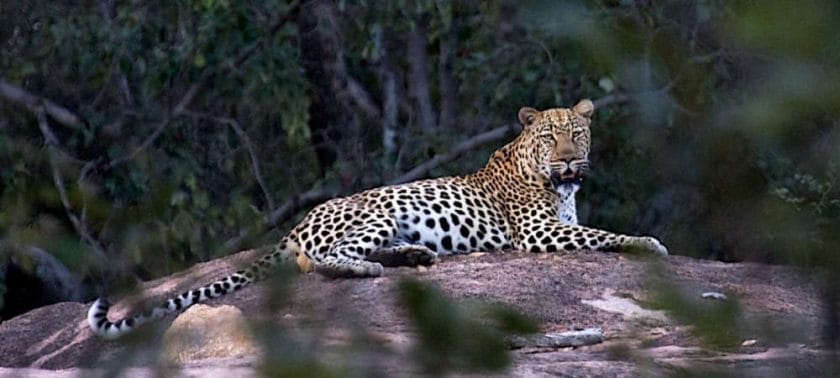 matobo national park in zimbabwe