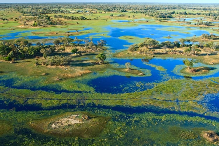 Aerial view of the Okavango Delta, Botswana.