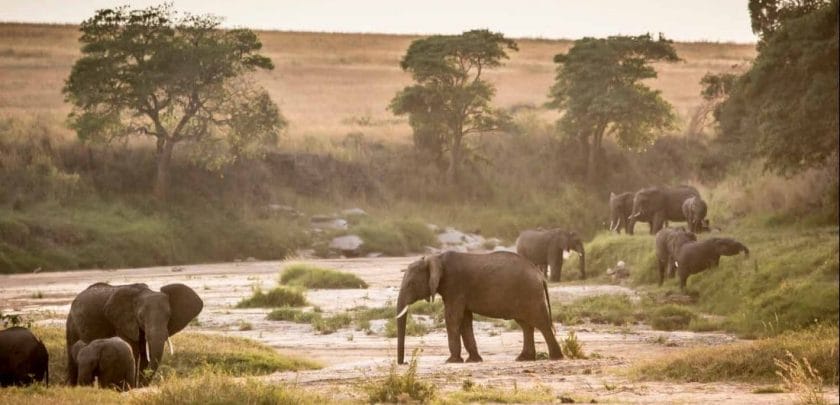 kenya-safari-holidays