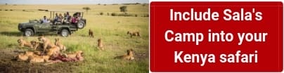 kenya-safari-packages