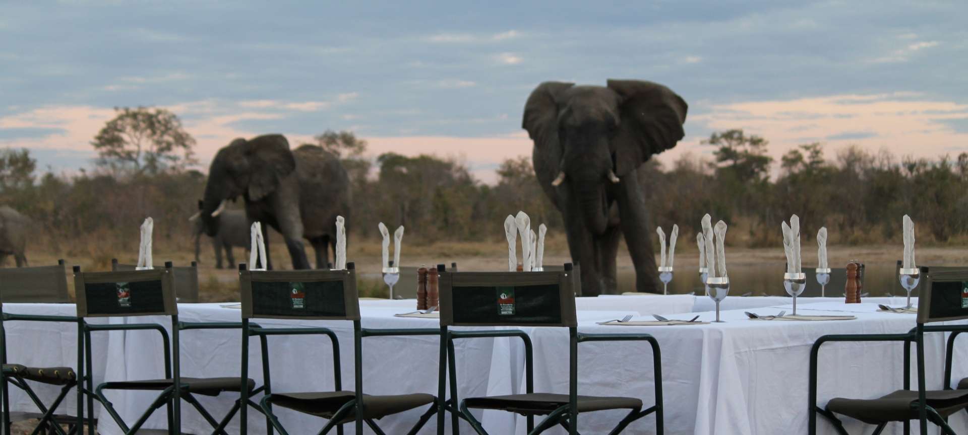 Zimbabwe in August | Discover Africa