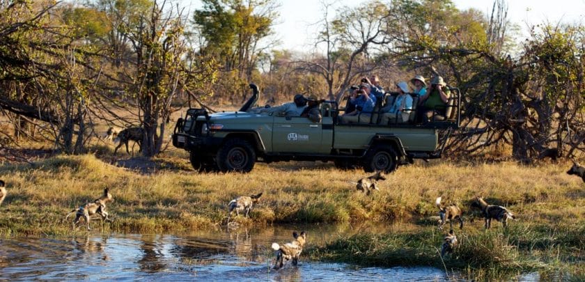 kwando splash camp okavango delta accommodation botswana safari game drive