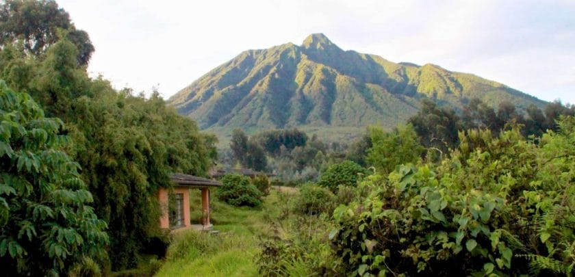 Enchanting lodges for a Mountain gorilla trekking tour in Rwanda