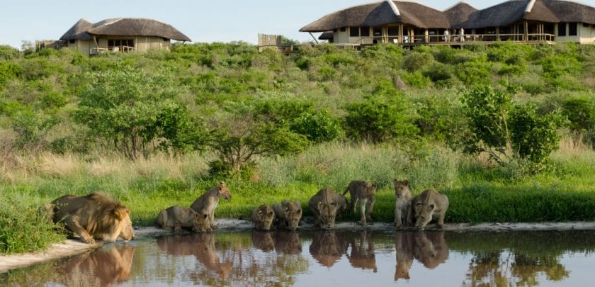 A short guide to Botswana’s green season