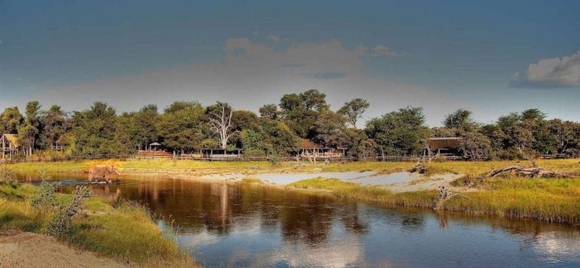 Chobe River is home to a vast array of wildlife species