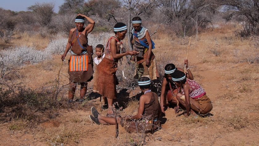 Educational excursions are an excellent way to learn about the indigenous cultures of Botswana