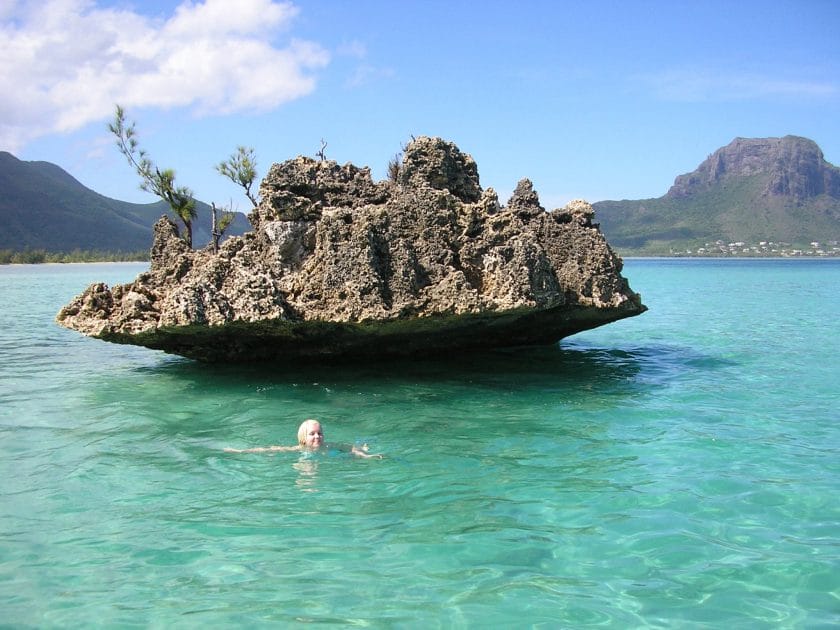 Whale Rock is great for snorkelling where hammerhead sharks may be spotted