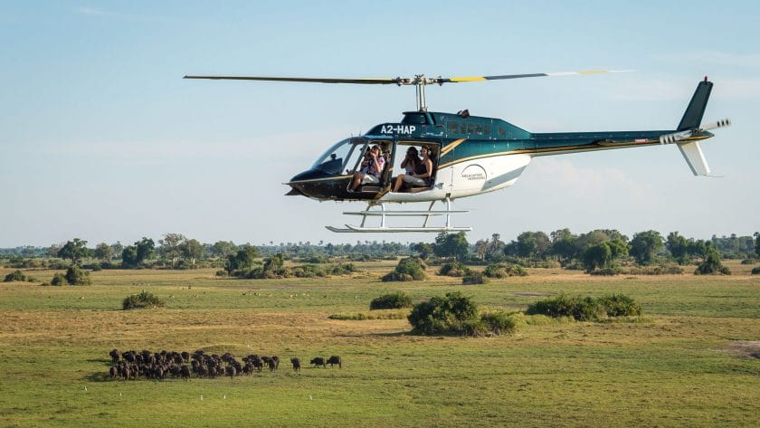 Photographic safaris in Botswana can be arranged by road, water or even air