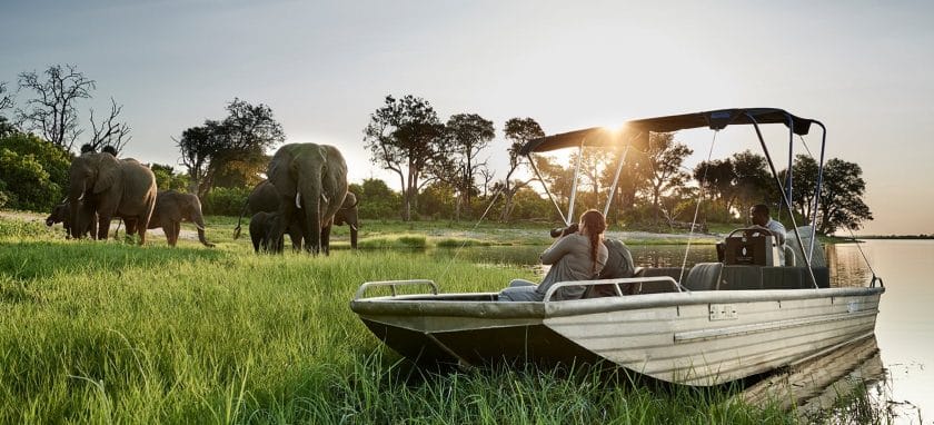 Sanctuary Chobe Chilwero is a luxurious riverside retreat