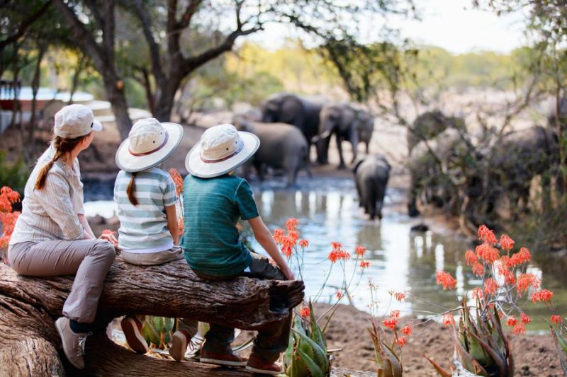 Botswana family safaris will enthrall adults and children, alike