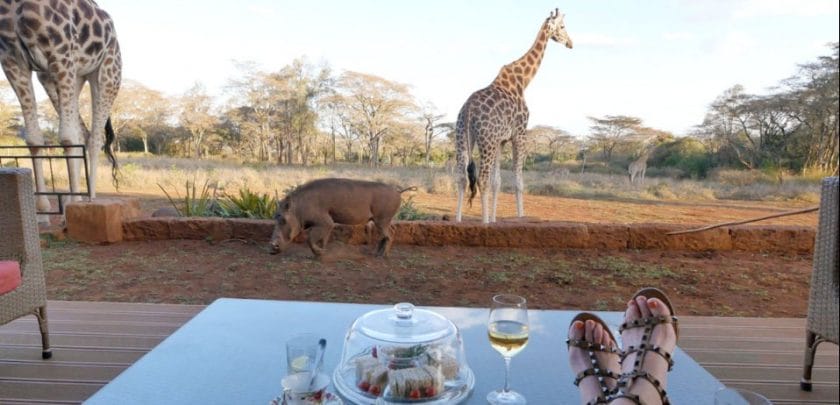 giraffe manor accommodation in nairobi kenya safari dining