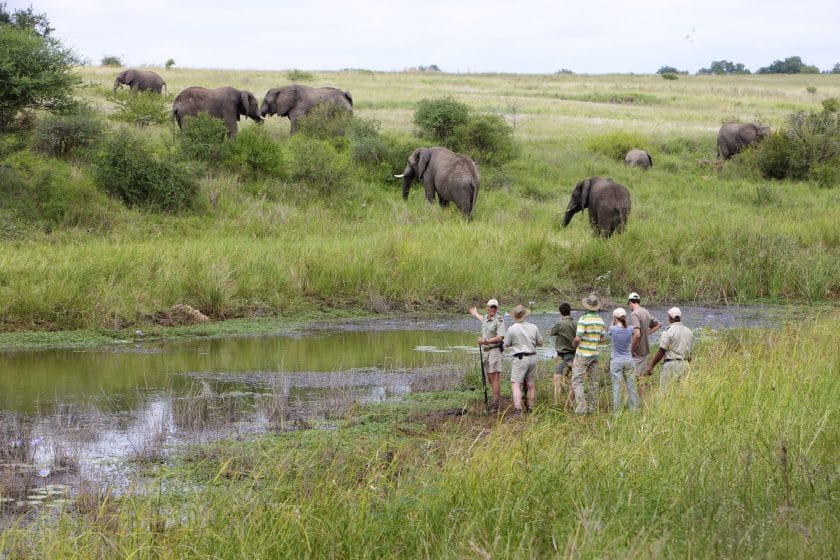 Bush walk in Kapama Game Reserve