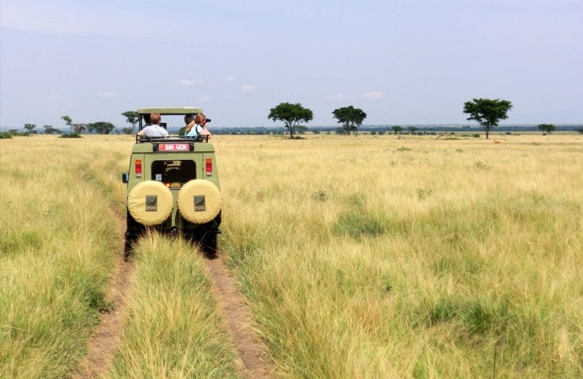 Game Drive in Uganda