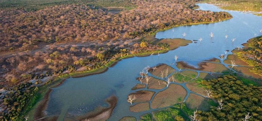 An aerial view of the Okavango Delta