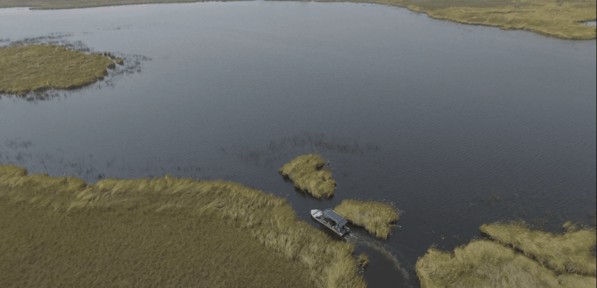 Boat safaris are common in the Okavango Delta