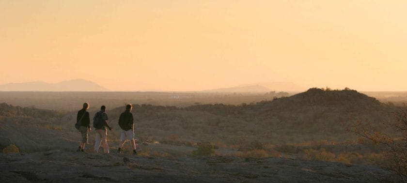 Get up close and personal on a walking safari