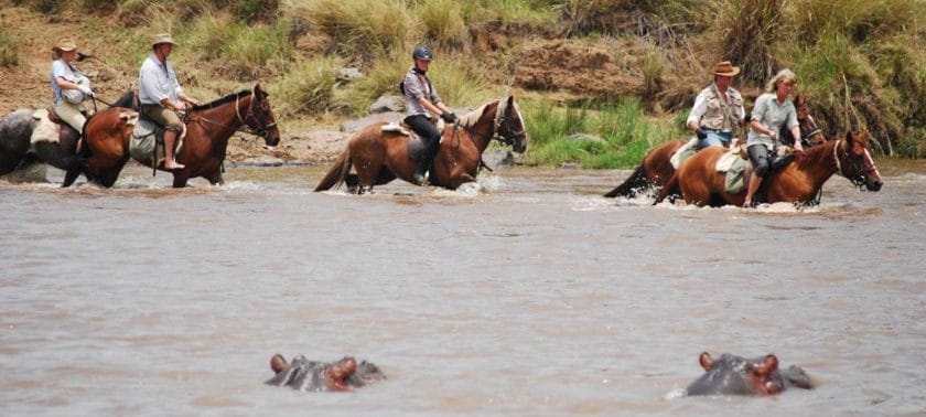 Horseback safaris are a truly unique experience that offers a unique viewpoint of the wildlife