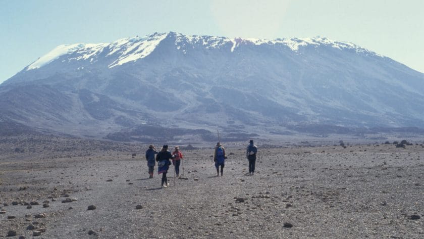 Climbing the alpine zone of Mount Kilimanjaro.