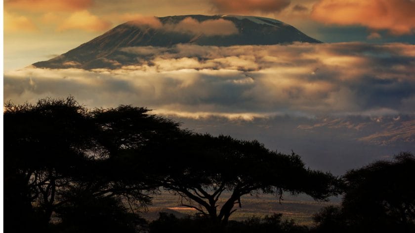 Mount Kilimanjaro at dawn.