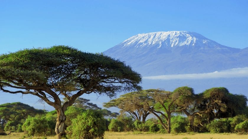 View of Mount Kilimanjaro.