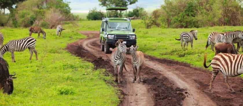 green season ngorongoro crater game drive