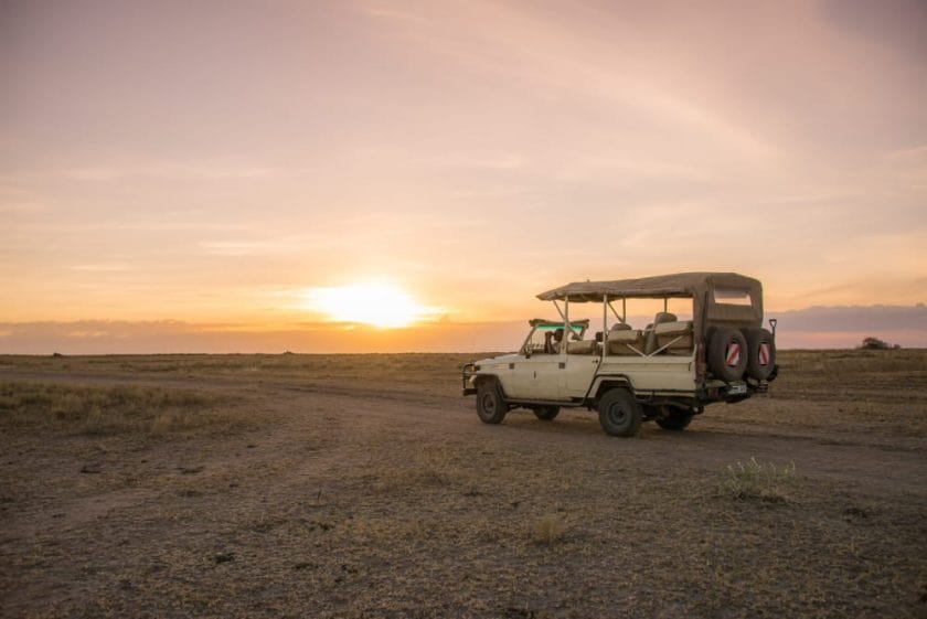 game drive serengeti