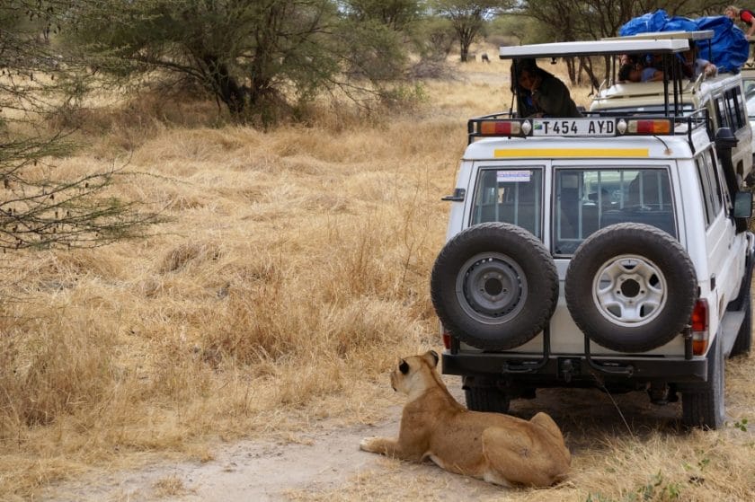 credit roaming the world tarangire national park