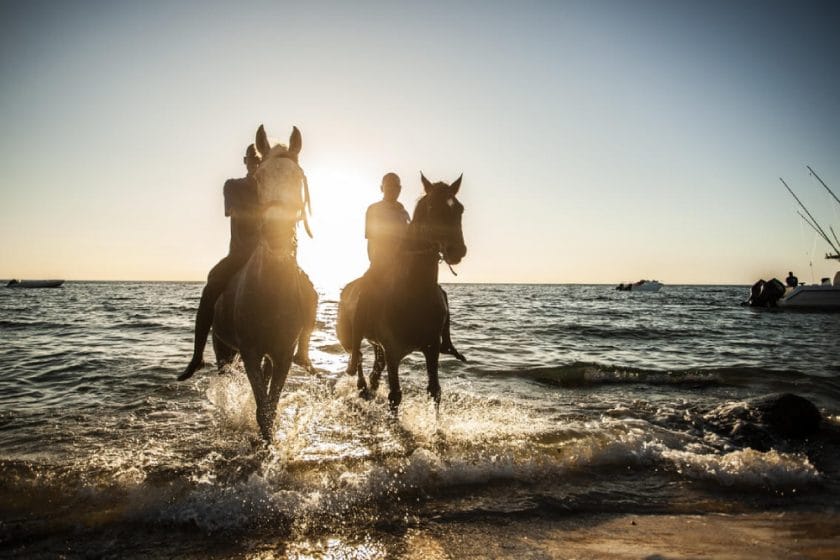 anantara bazaruto island resort horse riding