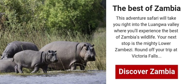 safari package zambia