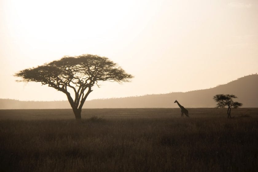 sunset ngorongoro crater tanzania safari