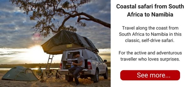 Adventure safari | Surf’s up in Namibia