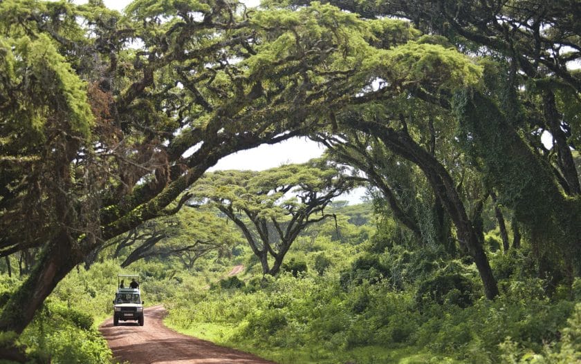 credit the highlands ngorongoro tanzania safari 4x4 drive