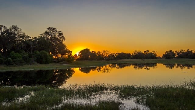 Traveller Stories: Botswana and the Majestic Okavango Delta