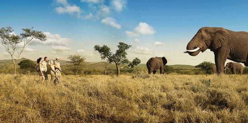 Five Things to Consider Before Planning Your South African Safari