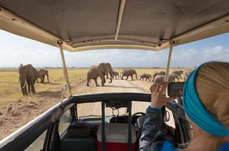 botswana safari cost per person